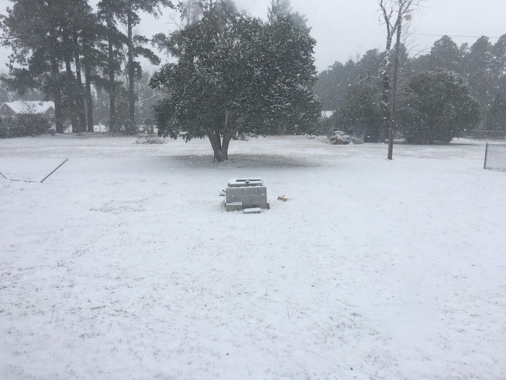 Reader's Snow Day Pics